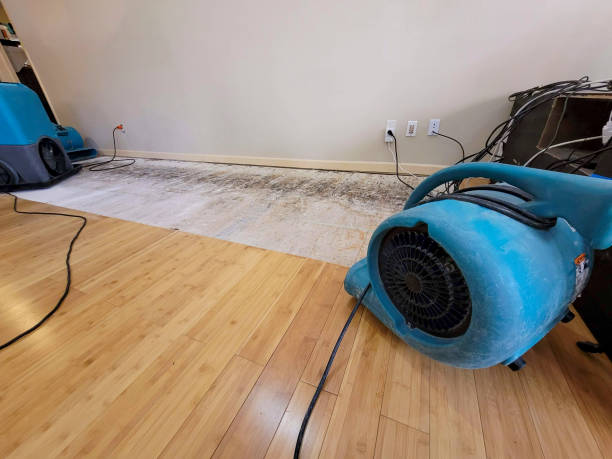 Professional Ceiling Water Damage Repair technician working in Plattsburg, MO